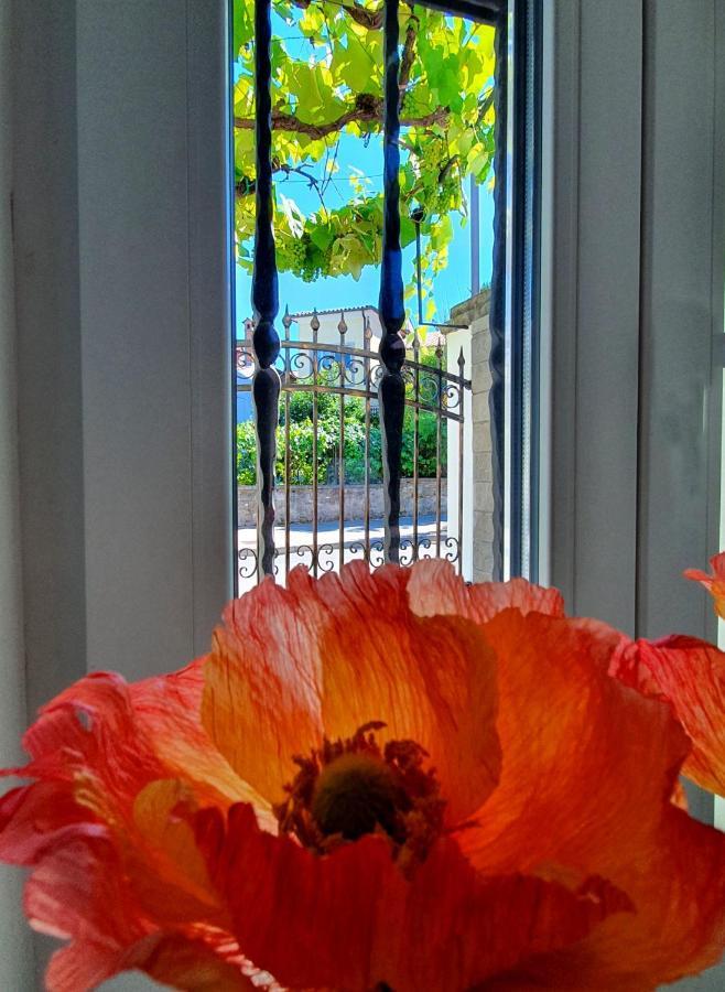 Casa Isabella B&B โคเปร์ ภายนอก รูปภาพ